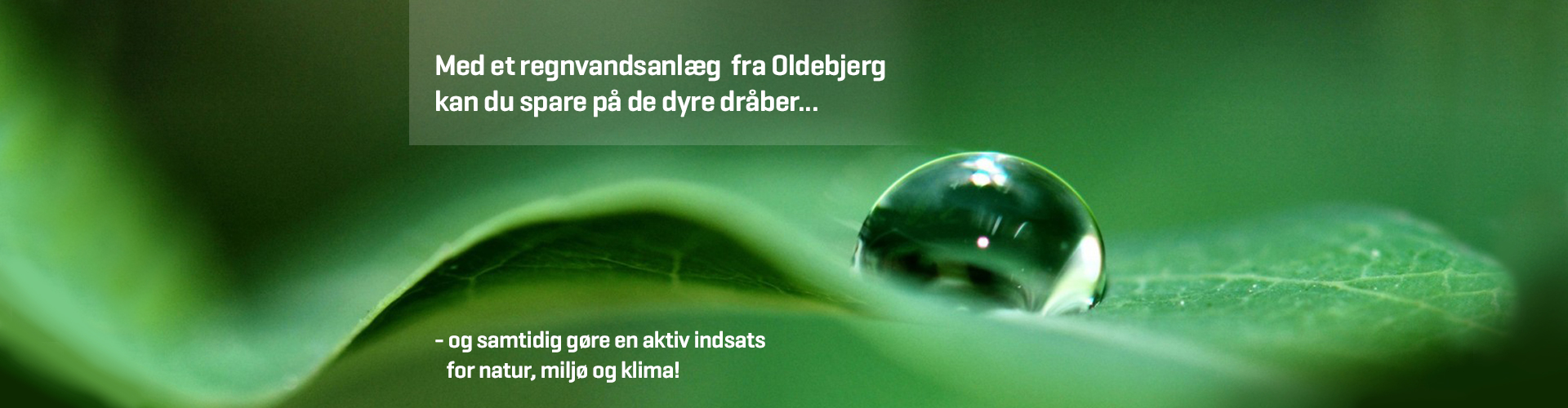 regnvandsanlæg oldebjerg